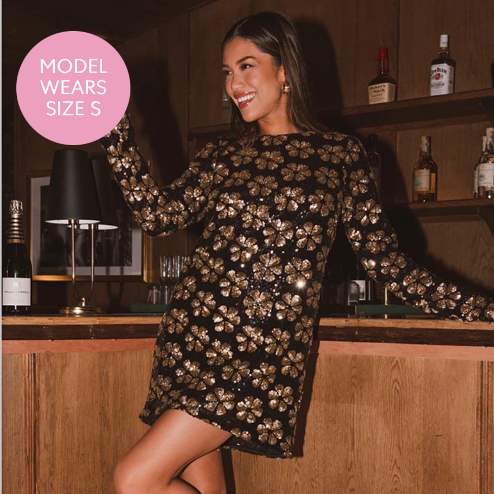 Show Me Your MuMu Maddison mini dress